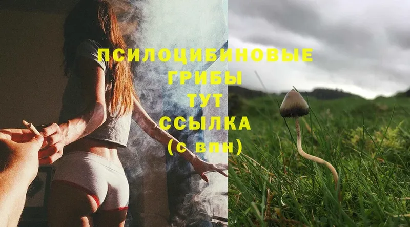 Галлюциногенные грибы Cubensis  hydra tor  Зеленоградск  что такое наркотик 